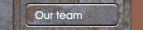 Our team